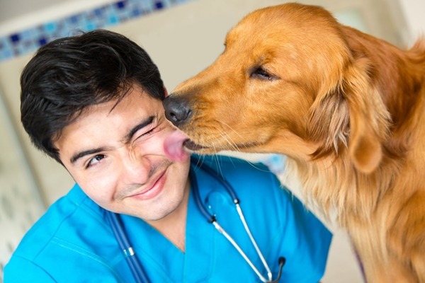 Ученые: Поцелуи с собаками укрепляют иммунитет