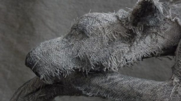 Художница создает реалистичные скульптуры животных из льна